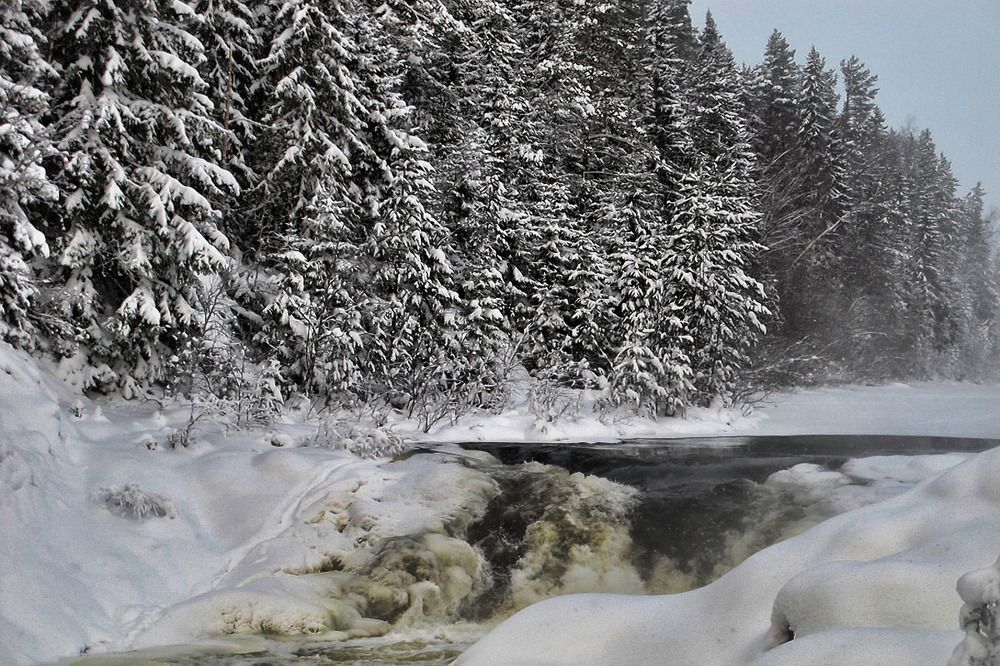 Photograph by Marina