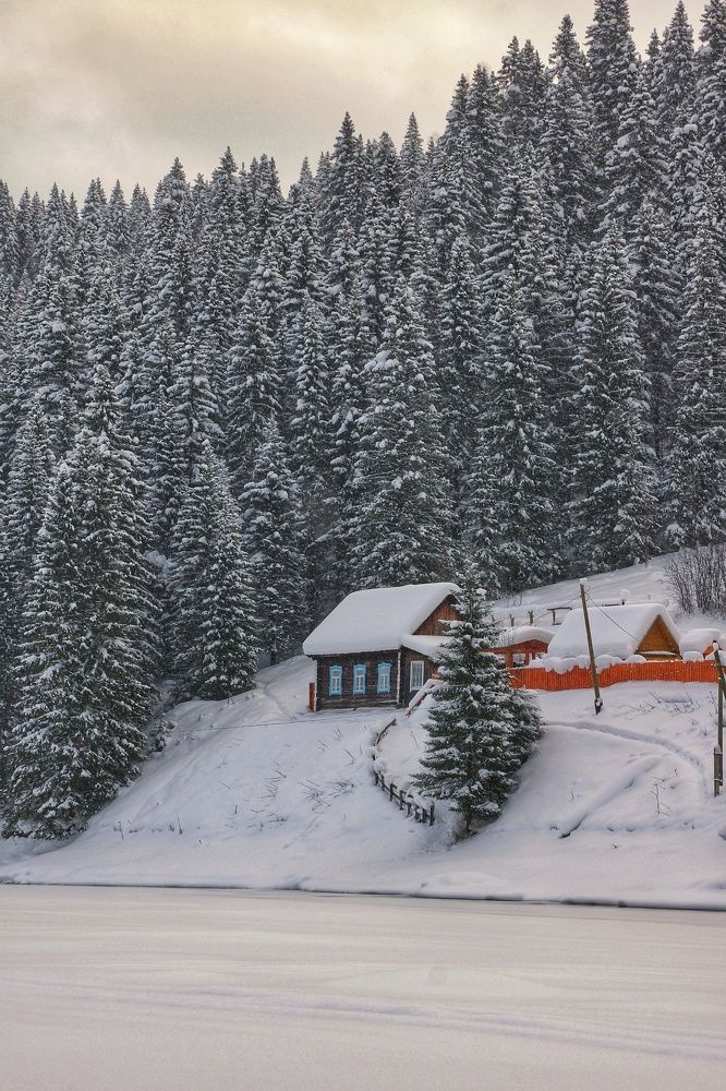 У леса на опушке