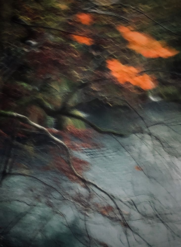 Осенний ветер