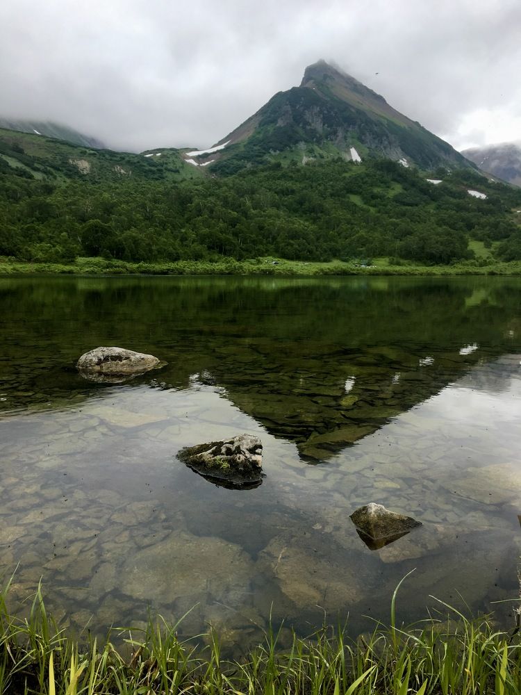 Photograph by Алина Чеснокова