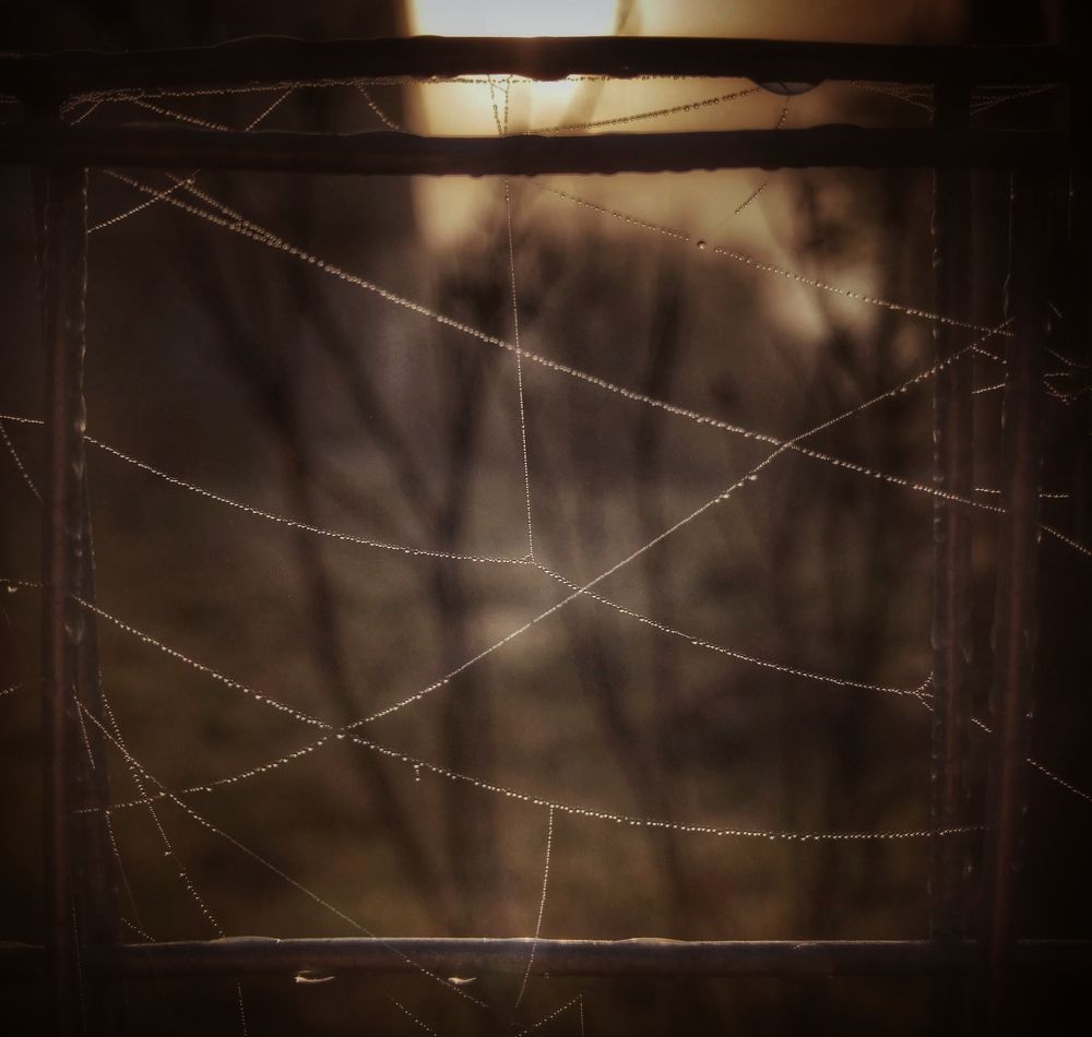 Приметы осени