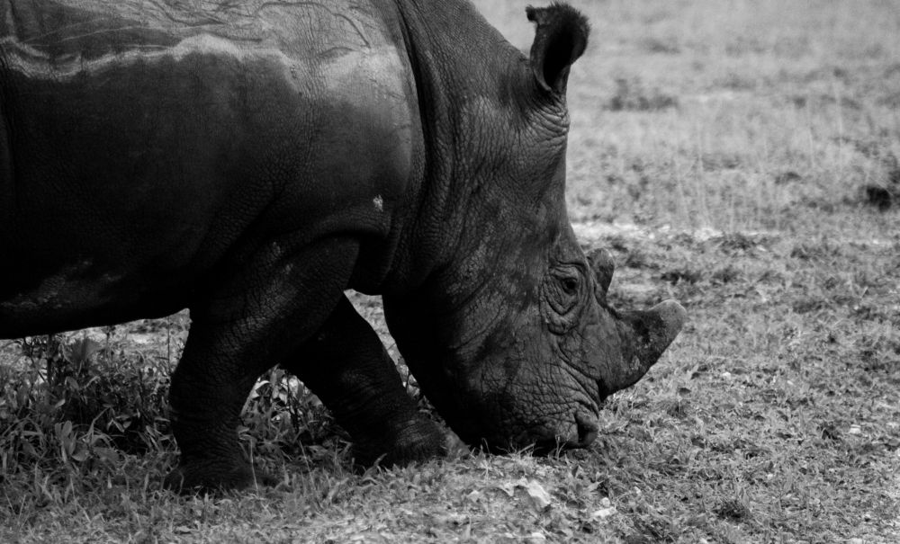 Photograph by Amy May Holt