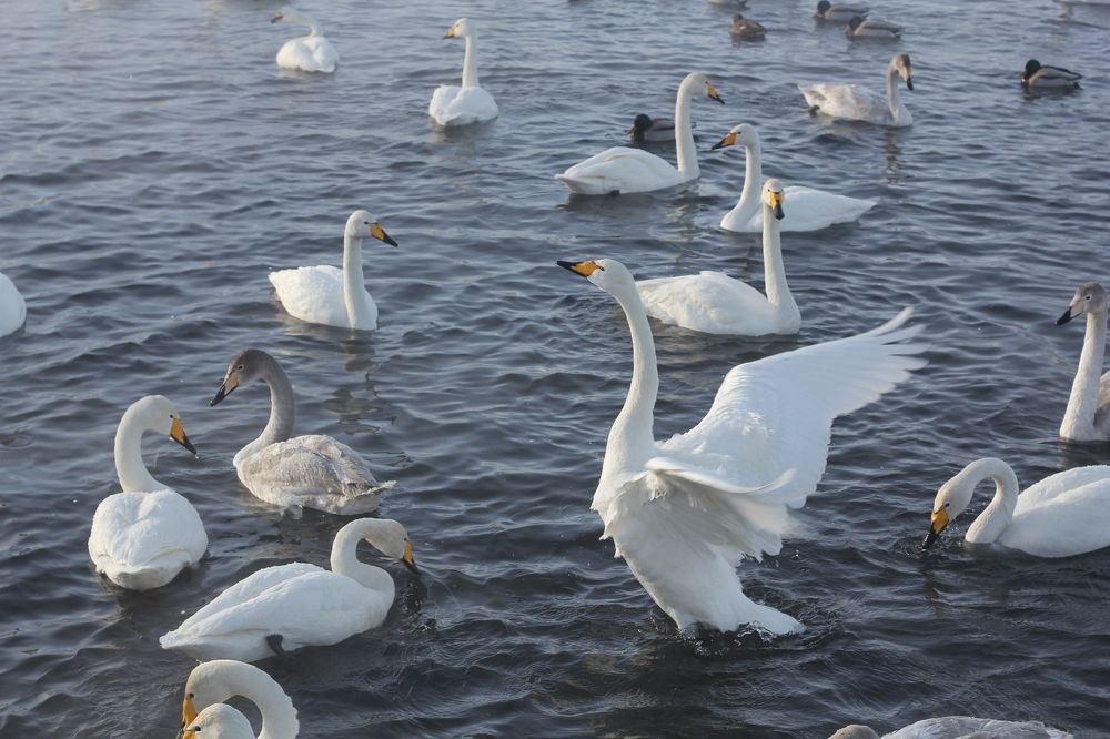 Photograph by Полина