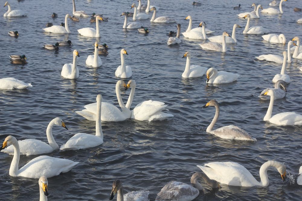 Photograph by Полина