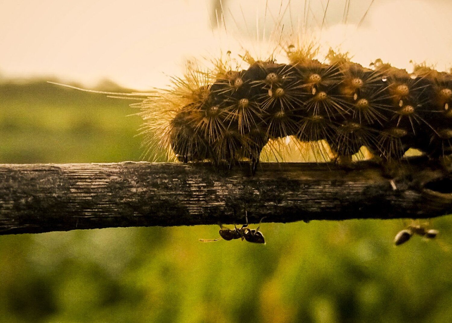 Fight for life
