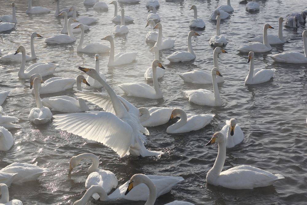 Photograph by Полина