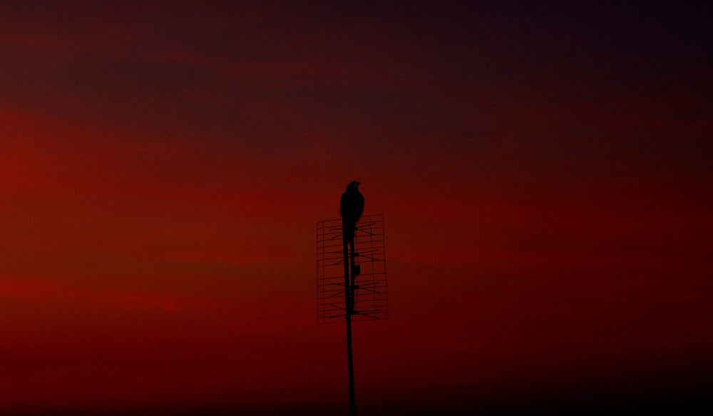 Тысячелетие отмененных полетов