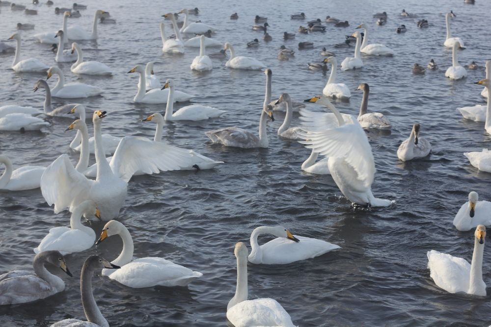 Photograph by Полина