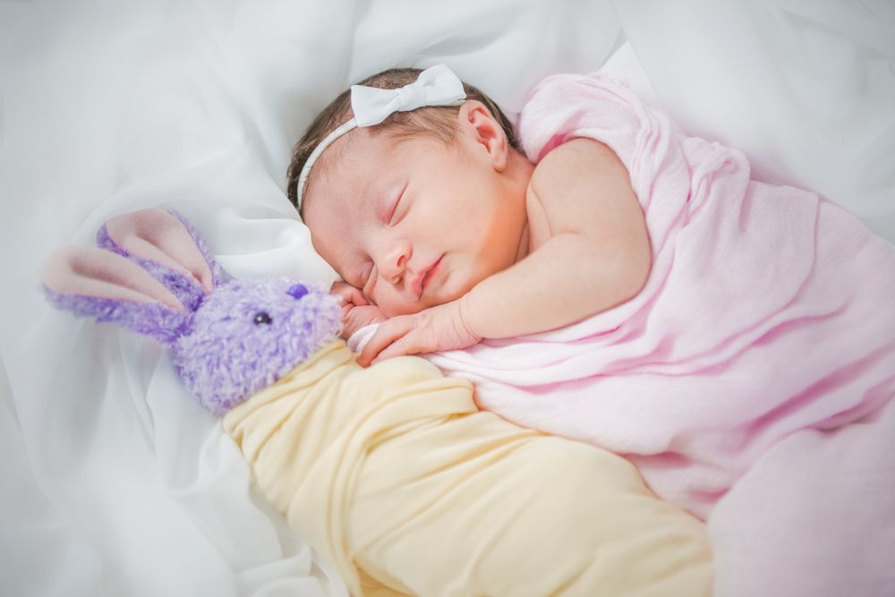 Bunny and Me