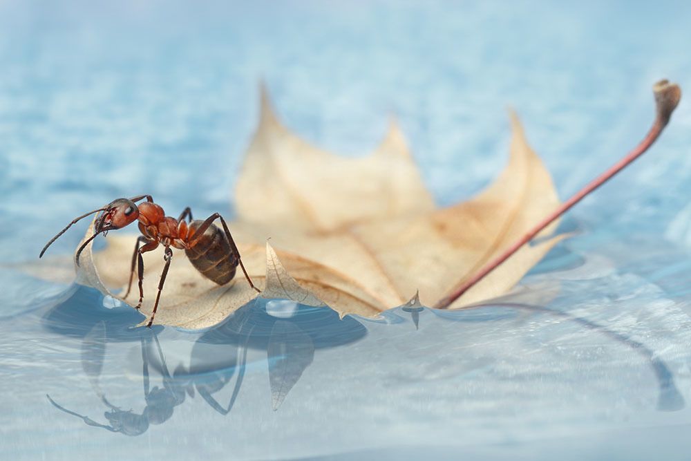 На маленьком плоту.