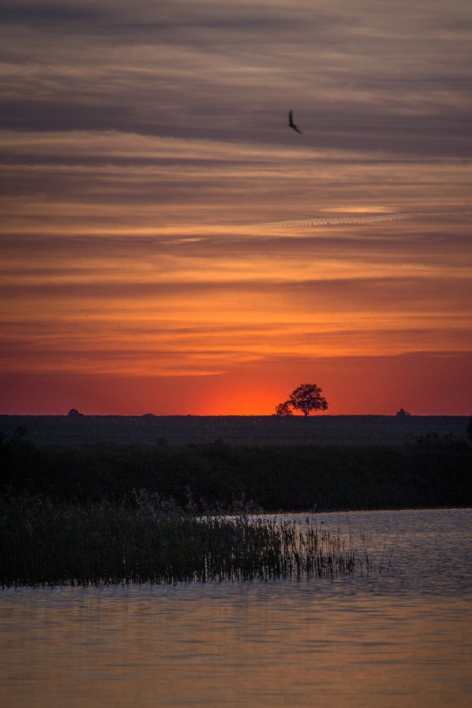 Photograph by Полина Хрол