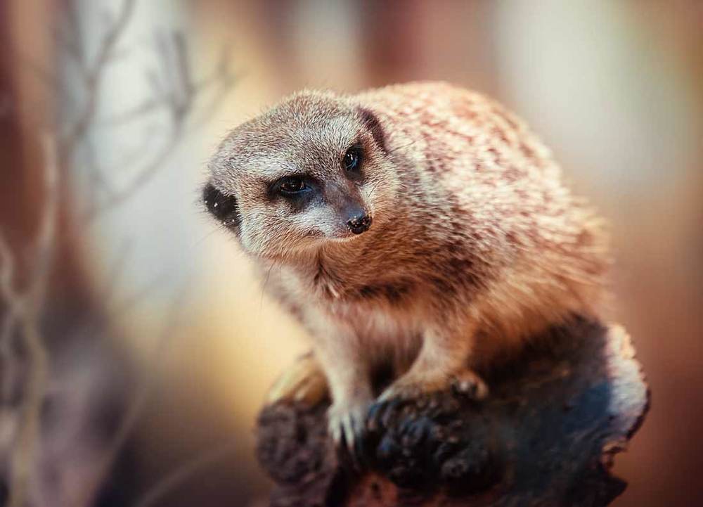 Photograph by Svetlana S.