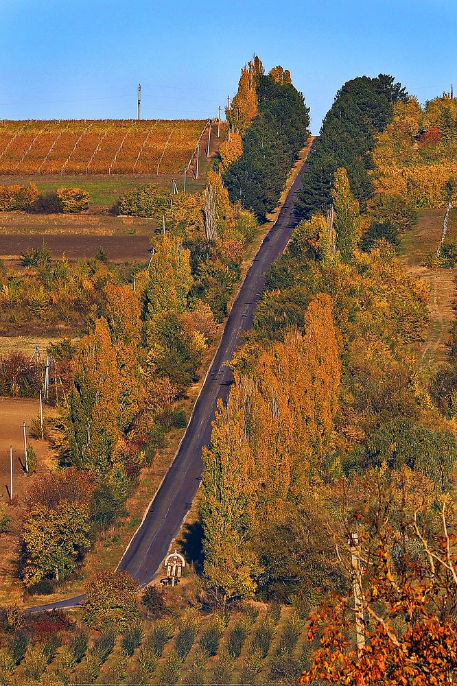 Сказочная осень