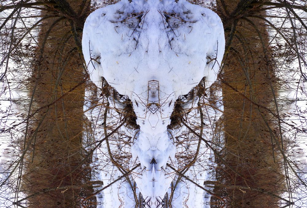 Древний тотем