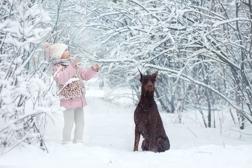Как снег на голову