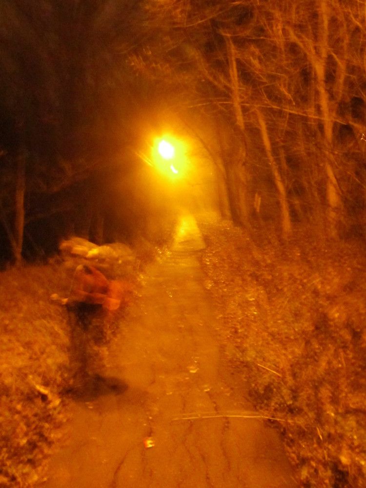 Вечер в лесу (по пути домой)