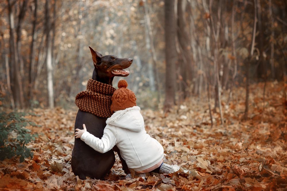 Всегда тепло, когда лучший друг рядом