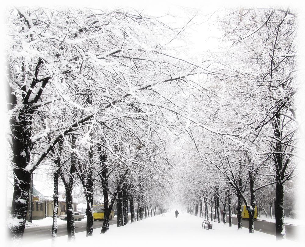 Зимняя дорога