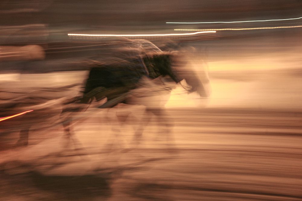 Абстрактный портрет лошади 2