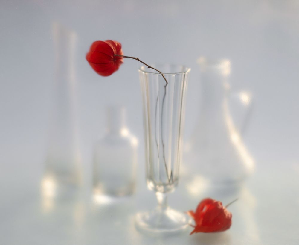 Серия "В туманном плену".