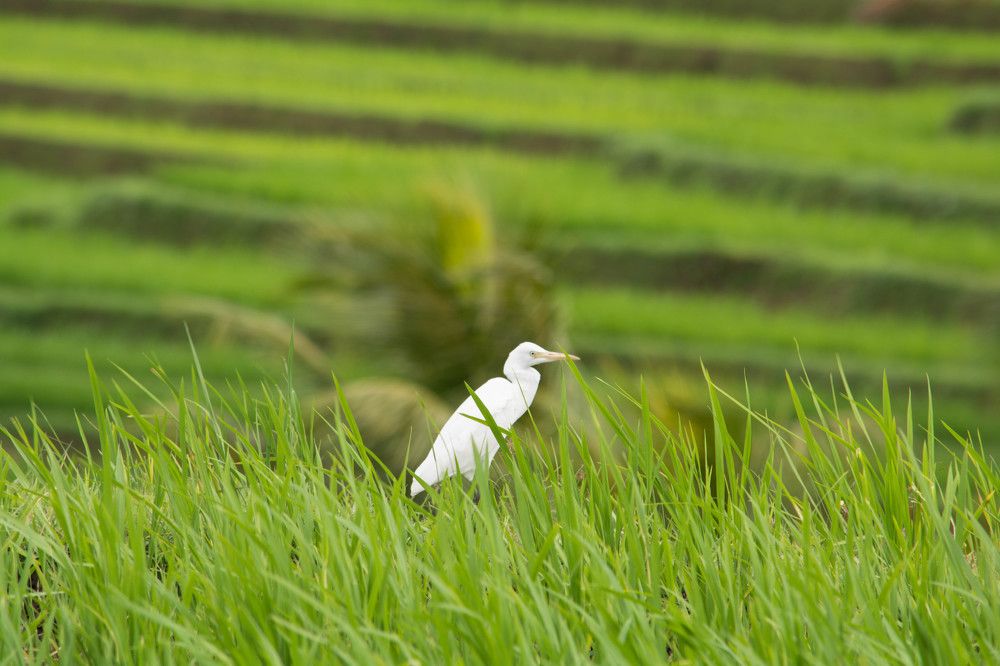 Photograph by Иван