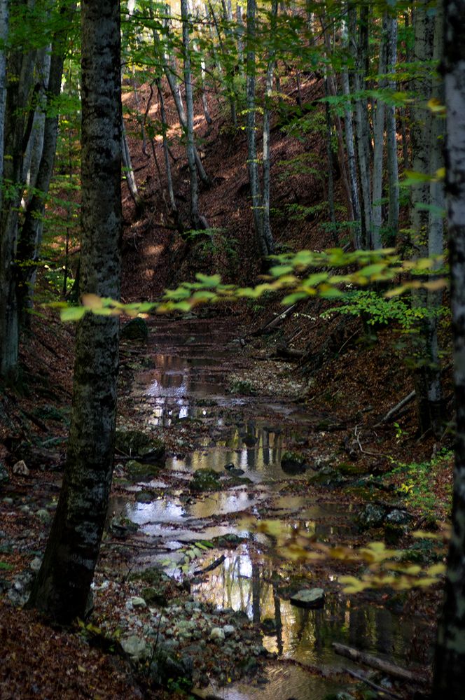 Photograph by Сергей Политыкин