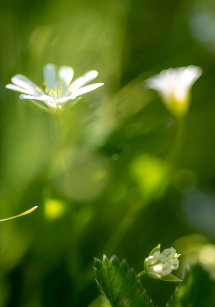 Photograph by Сергей Политыкин