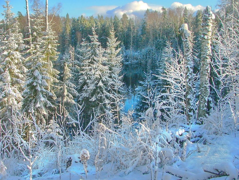После первой снежной бури
