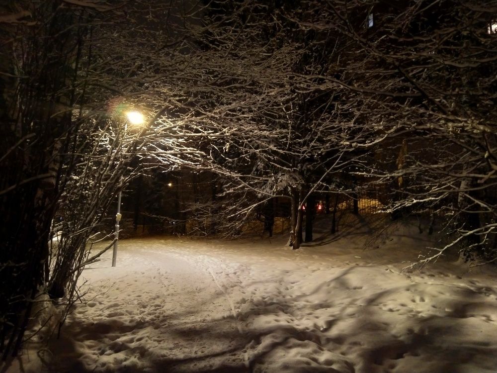 Photo #3021877