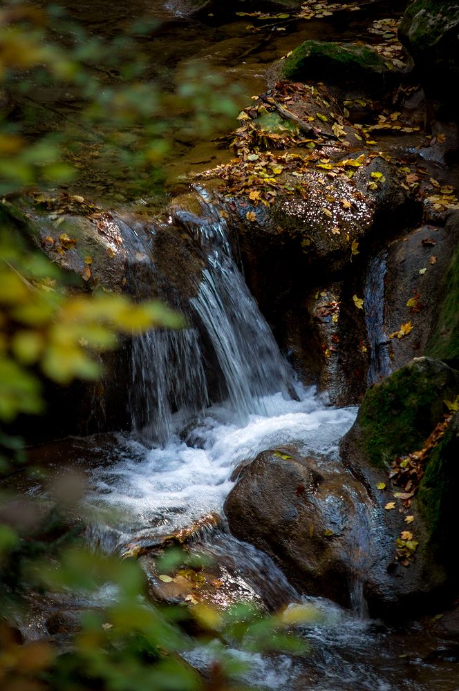 Photograph by Сергей Политыкин