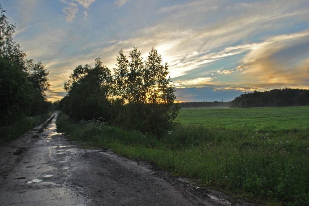 После дождя.