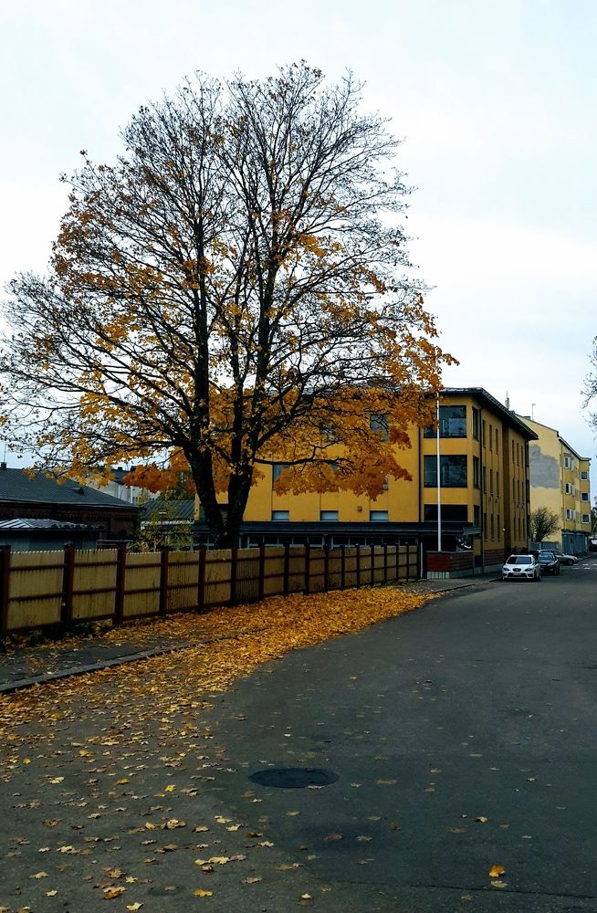 Photograph by Татьяна Белгарокова