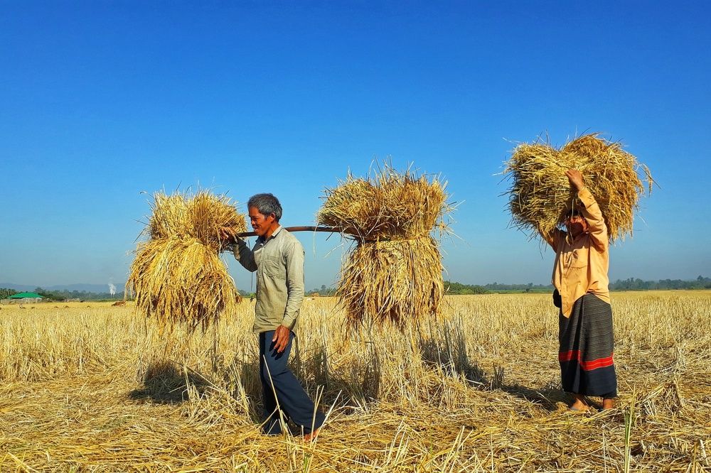 We are Going home With Golden