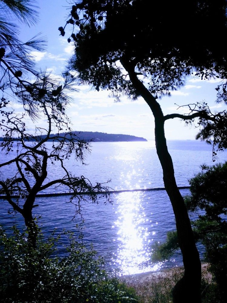 View from the princes' islands