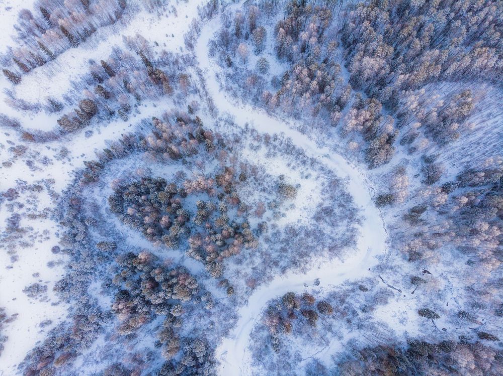 Photograph by Устюжанин Михаил