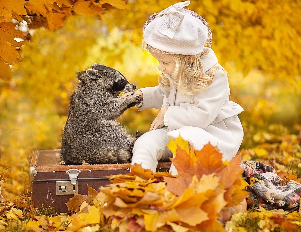 Дружба с енотом