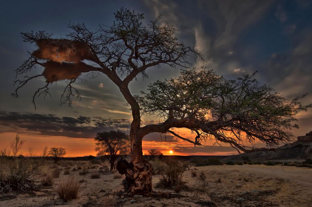 Namibian dusk