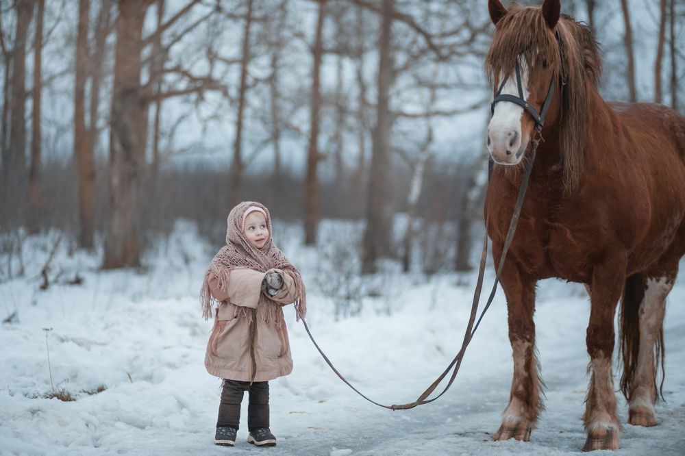 Девочка с лошадью