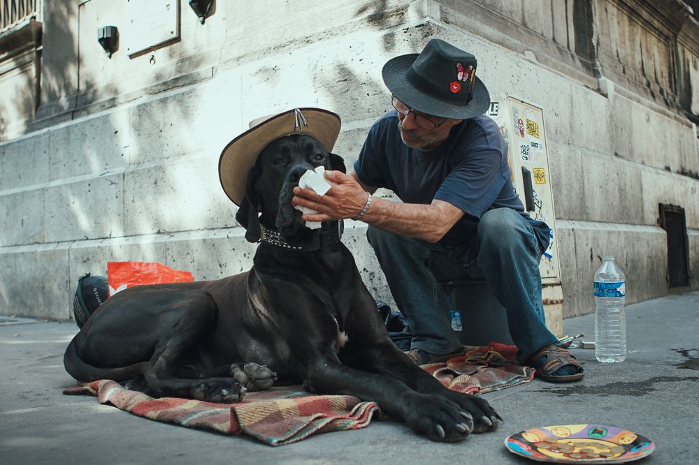 The coolest dog in Paris