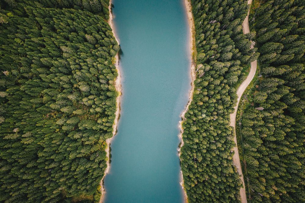 Bolboci Lake, Carpathian Mountains