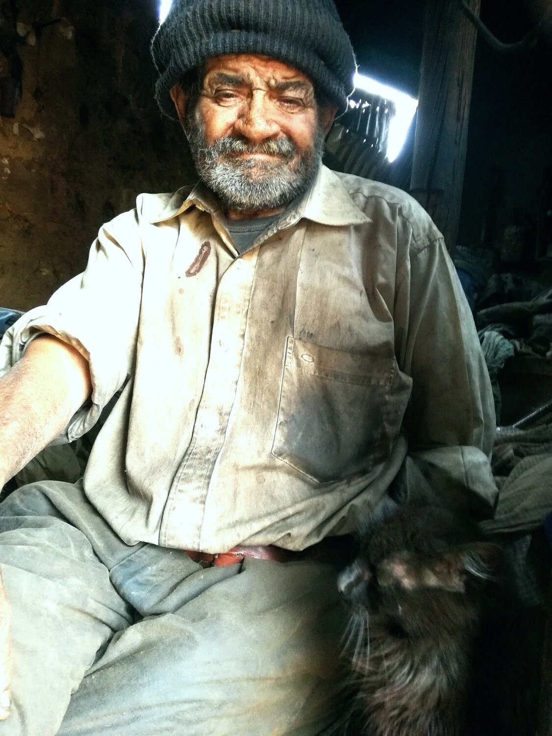 Older with black cats