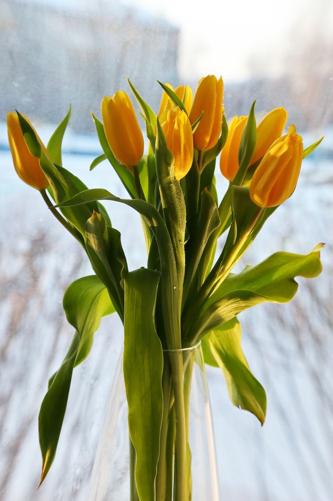 Photograph by Крестников Валерий