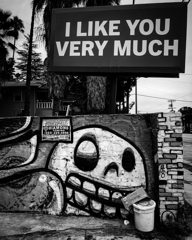 I Like You Very Much!
