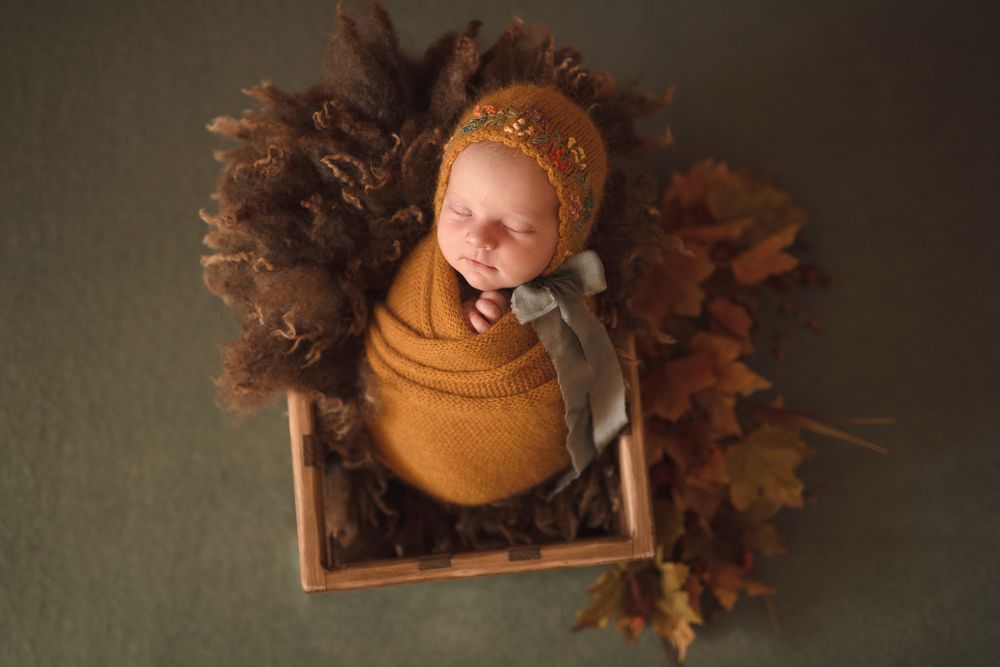 Краски осени