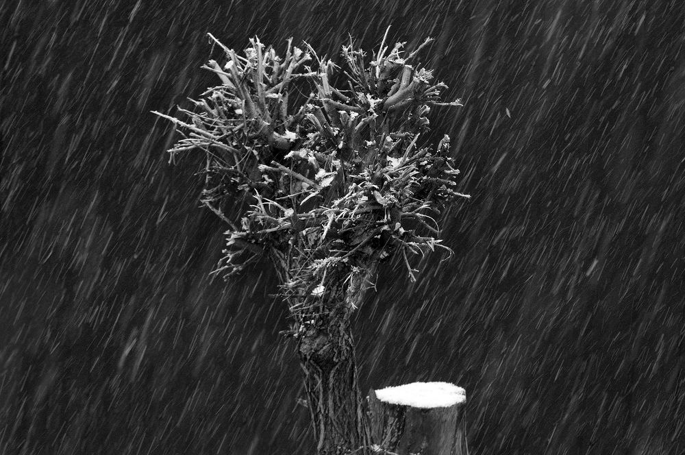 Бессонница