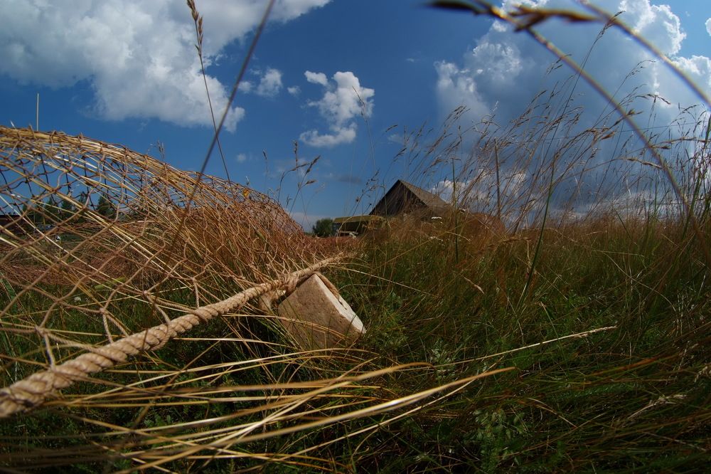 Август. Полдень