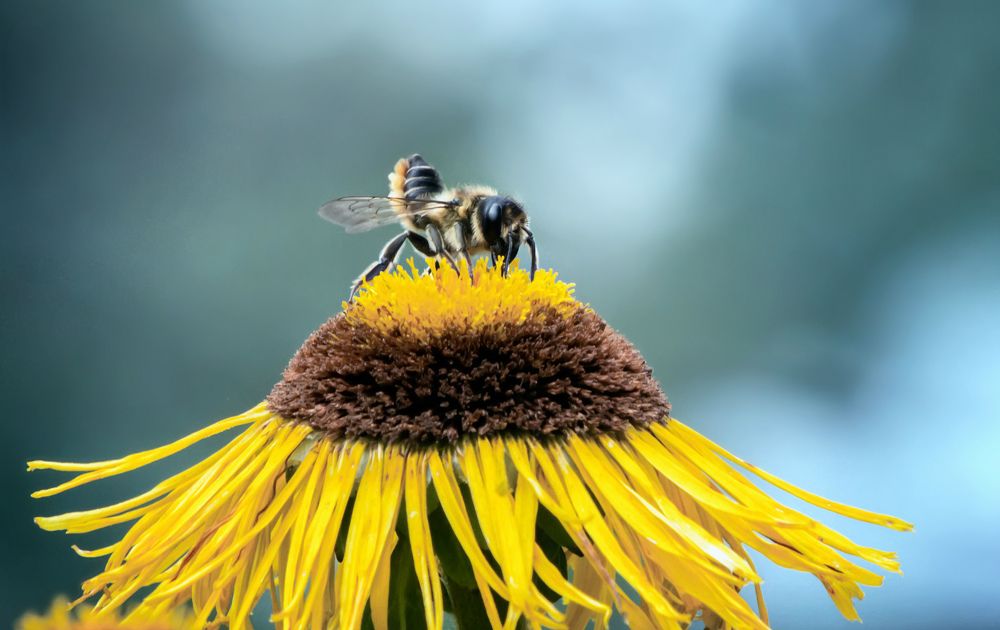 Мягкая посадка