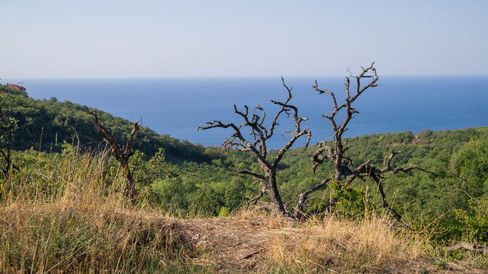 день в Крыму