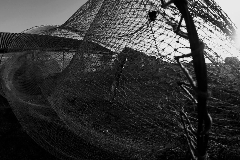 Ловушка для солнца