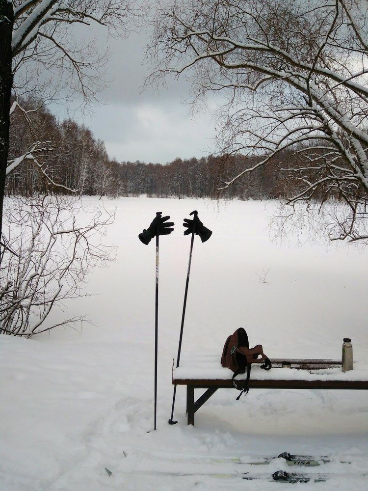 лыжница